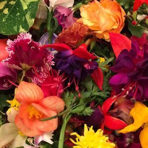 Meet your Posher, Anh